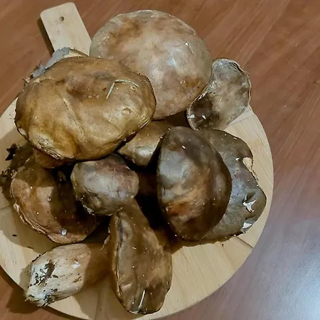 Feriegård Agriturismo La Terrazza