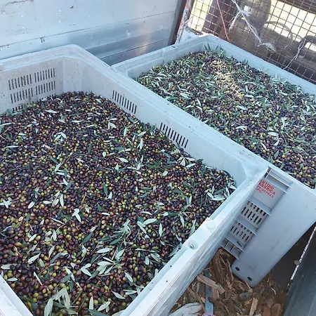 La Terrazza Valfabbrica