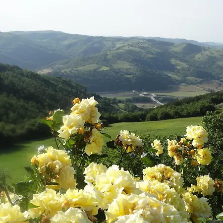 Agriturismo La Terrazza Valfabbrica
