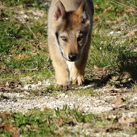 Agriturismo La Terrazza Valfabbrica